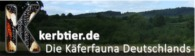 kerrbtier 163x90